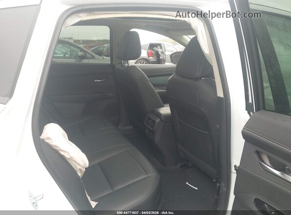 5N1AZ3CS7SC109237 2025 NISSAN MURANO White 
