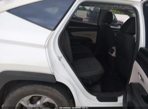 5NMJB3AE8NH014049 2022 HYUNDAI TUCSON Белый 