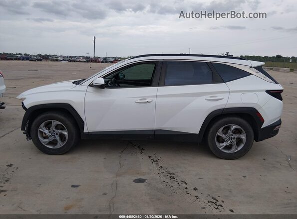 5NMJB3AE8NH014049 2022 HYUNDAI TUCSON Белый 