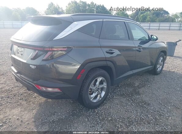 5NMJB3AEXPH286475 2023 HYUNDAI TUCSON Gray Tył prawy