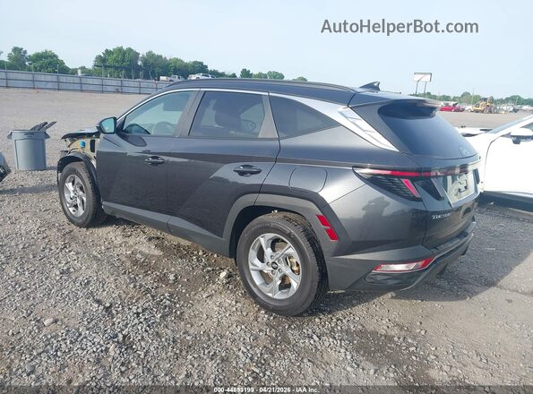 5NMJB3AEXPH286475 2023 HYUNDAI TUCSON Gray Tył lewy