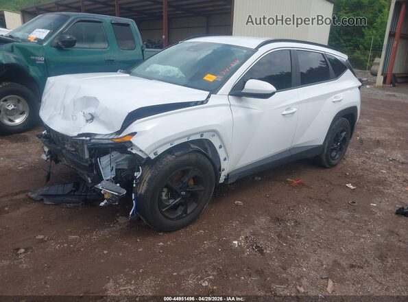 5NMJB3DE3RH341878 2024 HYUNDAI TUCSON Белый Передняя левая четверть