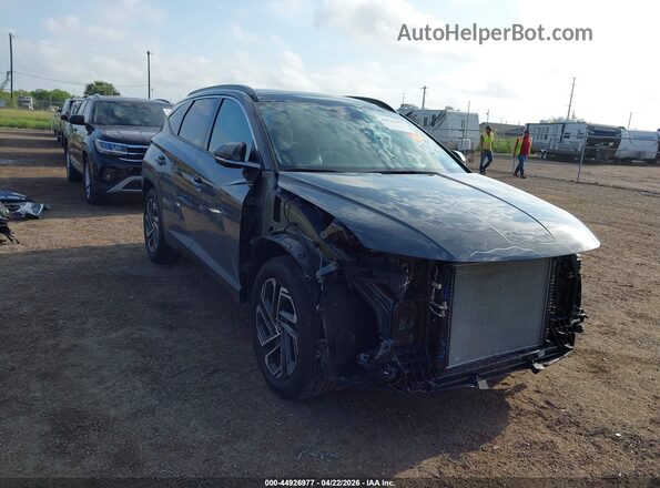 5NMJE3DEXSH525969 2025 HYUNDAI TUCSON Gray 