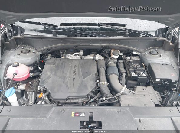 5NMP1DGL1SH113266 2025 HYUNDAI SANTA FE Gray Հետևի տեսք