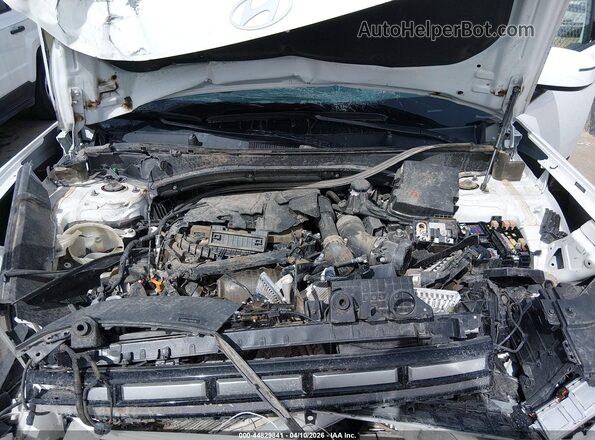 5NMP24GL1RH007181 2024 HYUNDAI SANTA FE White Rear view