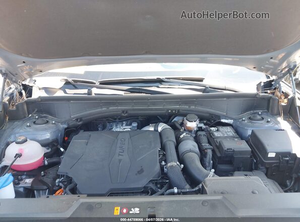 5NMP24GLXSH110623 2025 HYUNDAI SANTA FE Gray Widok z tyłu