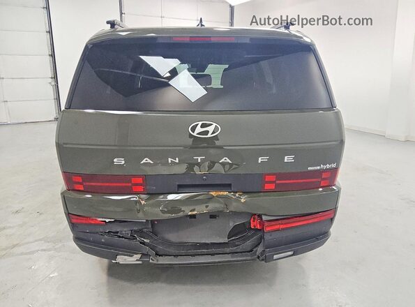 5NMP2DG18RH003725 2024 HYUNDAI SANTA Green Հետևի տեսք