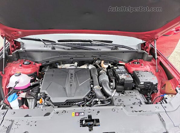 5NMP2DGLXRH036159 2024 HYUNDAI SANTA Burgundy Вид наклейки з VIN-кодом