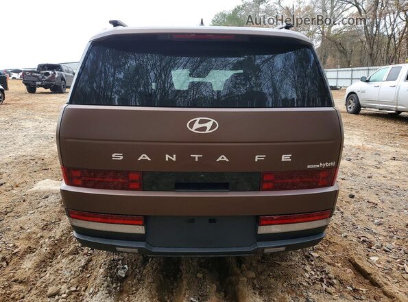5NMP3DG15RH009494 2024 HYUNDAI SANTA Brown Vista trasera