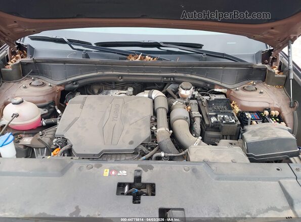 5NMP4DGL4RH018282 2024 HYUNDAI SANTA FE Pewter Հետևի տեսք