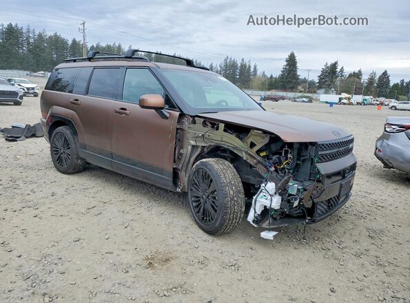 5NMP5DG12SH044316 2025 HYUNDAI SANTA FE CALLIGRAPHY Brown Передня права чверть