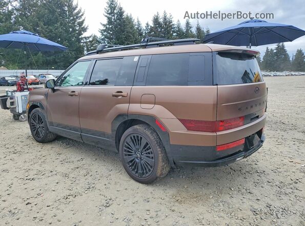 5NMP5DG12SH044316 2025 HYUNDAI SANTA FE CALLIGRAPHY Brown Задня ліва чверть