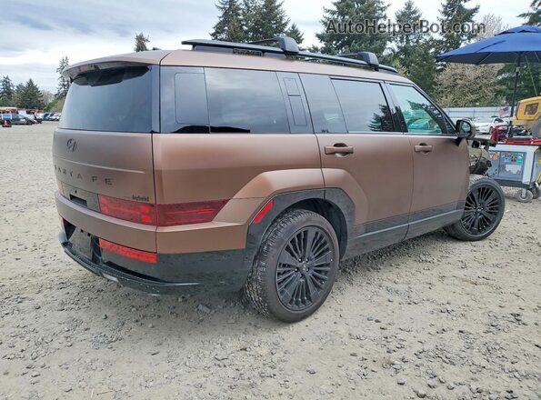 5NMP5DG12SH044316 2025 HYUNDAI SANTA FE CALLIGRAPHY Brown Задня права чверть
