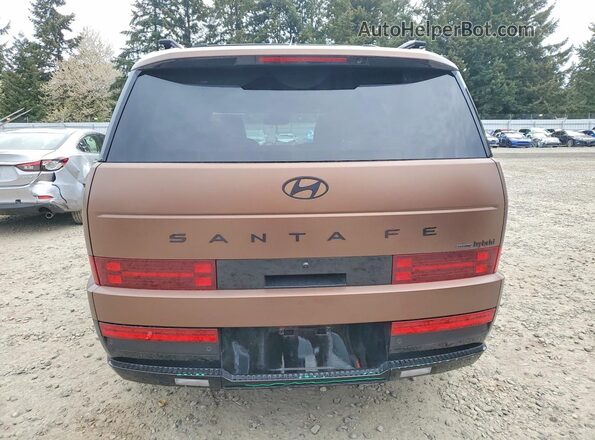 5NMP5DG12SH044316 2025 HYUNDAI SANTA FE CALLIGRAPHY Brown Вид ззаду