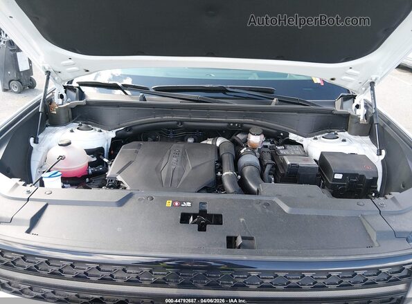 5NMP5DGL4RH031580 2024 HYUNDAI SANTA FE CALLIGRAPHY White უკანა ხედი