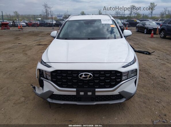 5NMS2DAJ8PH612684 2023 HYUNDAI SANTA FE White Вид задньої частини салону