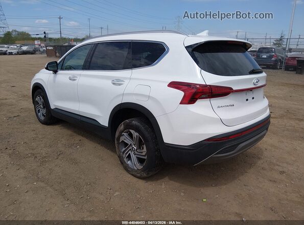 5NMS2DAJ8PH612684 2023 HYUNDAI SANTA FE White Задня ліва чверть