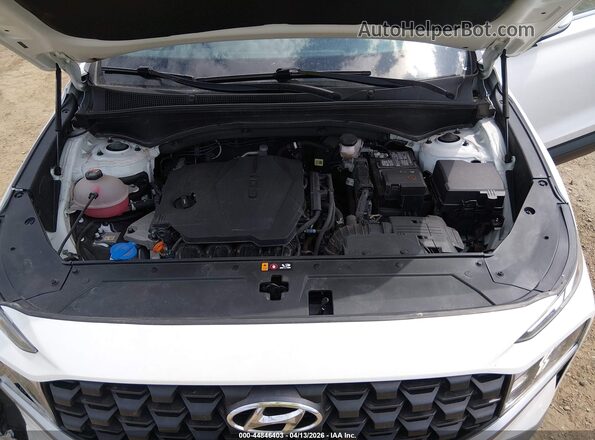 5NMS2DAJ8PH612684 2023 HYUNDAI SANTA FE White Вид ззаду