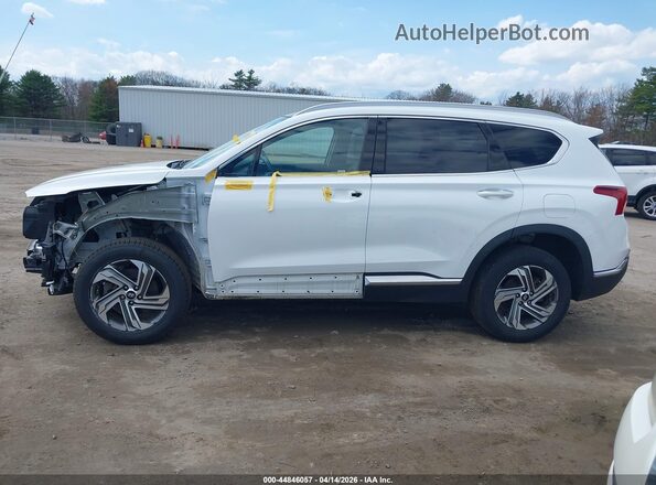 5NMS3DAJXPH590099 2023 HYUNDAI SANTA FE White 