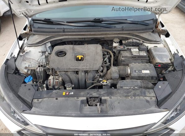 5NPD74LF5KH496424 2019 HYUNDAI ELANTRA White Rear view