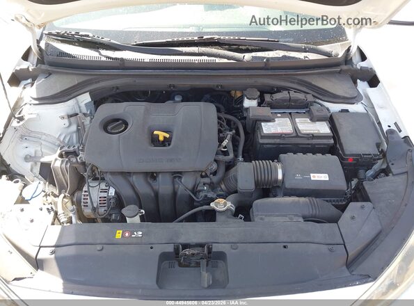 5NPD84LF0KH492987 2019 HYUNDAI ELANTRA White Widok z tyłu
