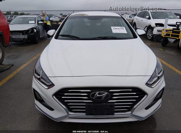 5NPE24AF7KH800844 2019 HYUNDAI SONATA White 
