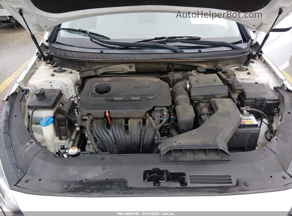 5NPE24AF7KH800844 2019 HYUNDAI SONATA White 