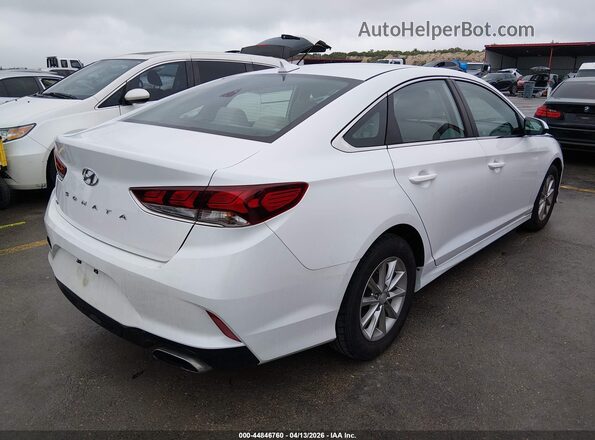 5NPE24AF7KH800844 2019 HYUNDAI SONATA White 