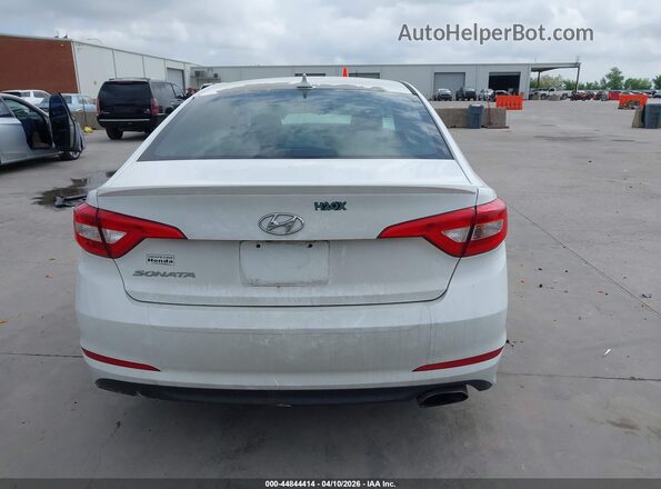 5NPE24AF9HH560348 2017 HYUNDAI SONATA White 