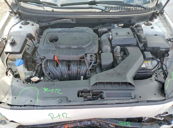 5NPE34AF2KH760167 2019 HYUNDAI SONATA White უკანა სალონის ხედი