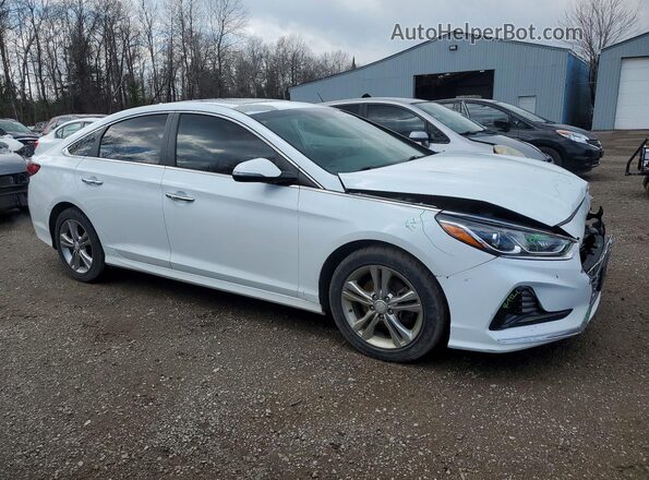 5NPE34AF2KH760167 2019 HYUNDAI SONATA White წინა მარჯვენა