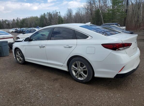 5NPE34AF2KH760167 2019 HYUNDAI SONATA White უკანა მარცხენა