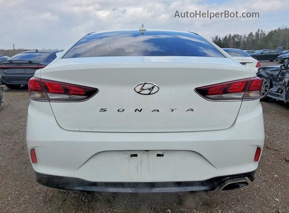 5NPE34AF2KH760167 2019 HYUNDAI SONATA White უკანა ხედი