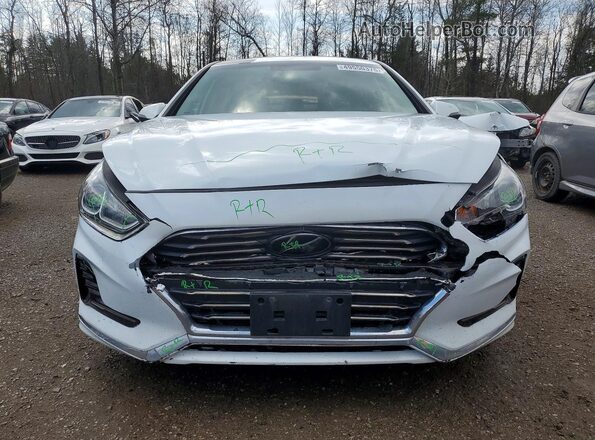 5NPE34AF2KH760167 2019 HYUNDAI SONATA White წინა ხედი