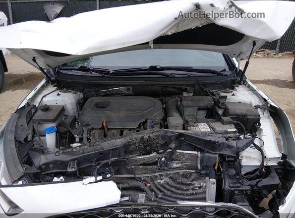 5NPE34AF2KH791791 2019 HYUNDAI SONATA White Vista trasera