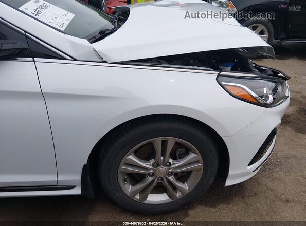 5NPE34AF2KH791791 2019 HYUNDAI SONATA White 