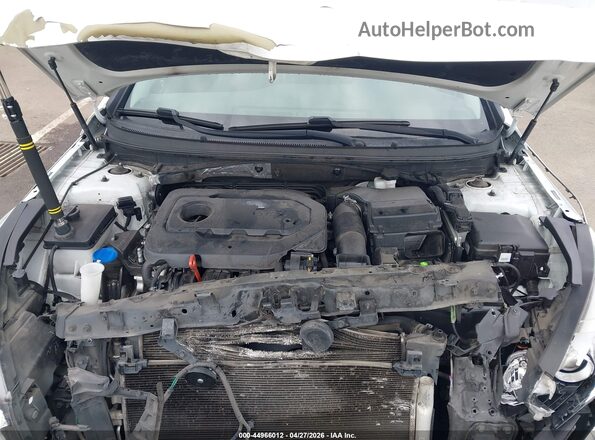 5NPE34AF3GH401207 2016 HYUNDAI SONATA White 