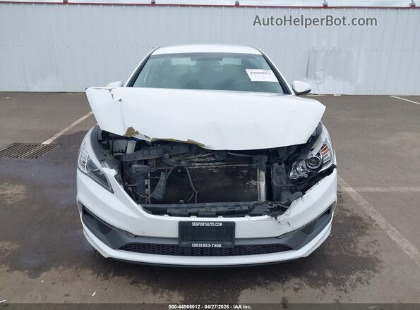5NPE34AF3GH401207 2016 HYUNDAI SONATA White 