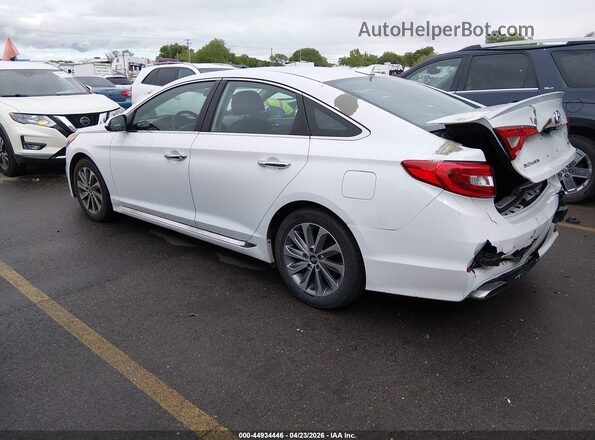 5NPE34AF5GH286531 2016 HYUNDAI SONATA White Հետևի ձախ