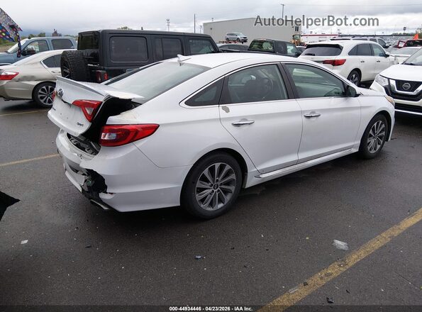 5NPE34AF5GH286531 2016 HYUNDAI SONATA White Հետևի աջ