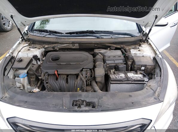 5NPE34AF5GH286531 2016 HYUNDAI SONATA White Հետևի տեսք