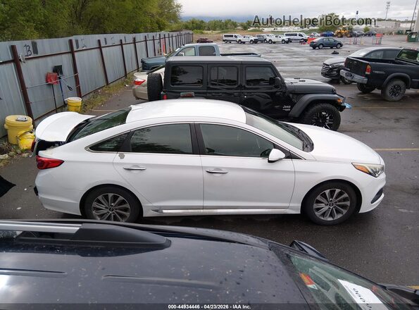 5NPE34AF5GH286531 2016 HYUNDAI SONATA White Սալոնի հետևի տեսք
