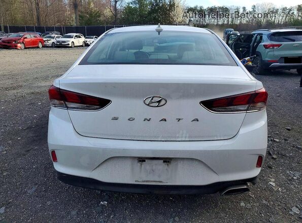 5NPE34AF5KH811015 2019 HYUNDAI SONATA White Вид ззаду