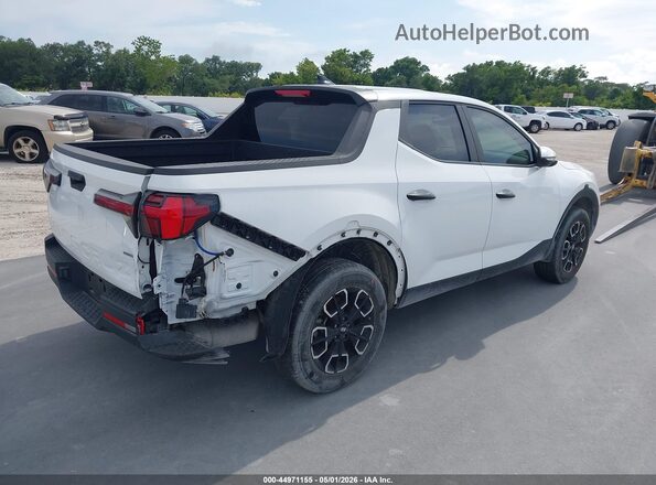 5NTJBDAE2RH090205 2024 HYUNDAI SANTA CRUZ Белый Задняя правая четверть