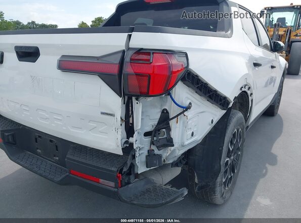 5NTJBDAE2RH090205 2024 HYUNDAI SANTA CRUZ Белый Вид задней части салона