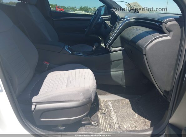 5NTJBDAE2RH090205 2024 HYUNDAI SANTA CRUZ Белый Вид салона спереди