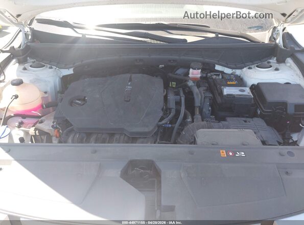 5NTJBDAE2RH090205 2024 HYUNDAI SANTA CRUZ Белый Вид сзади