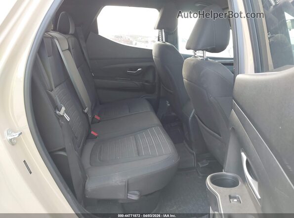 5NTJBDAE4PH063780 2023 HYUNDAI SANTA CRUZ Beige Widok naklejki z numerem VIN