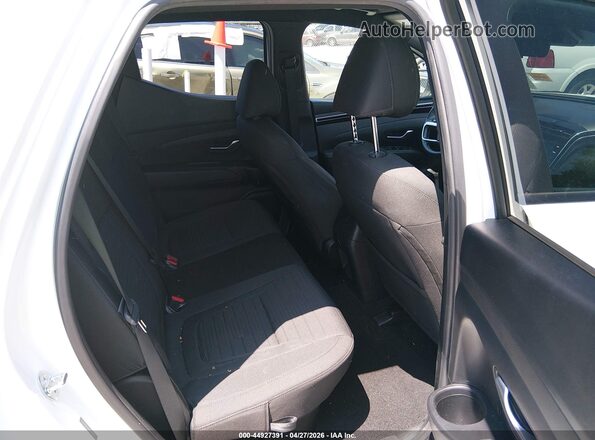 5NTJBDAE4PH065397 2023 HYUNDAI SANTA CRUZ White Вид наклейки з VIN-кодом