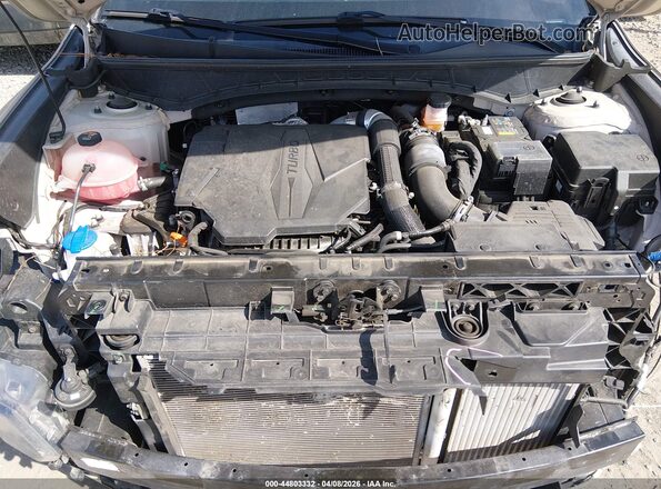 5NTJDDAF5NH010408 2022 HYUNDAI SANTA CRUZ Кремовый Вид сзади